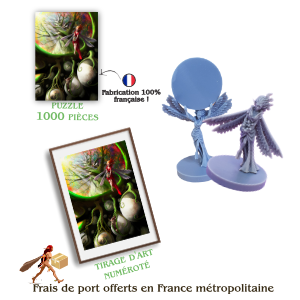 Options au choix