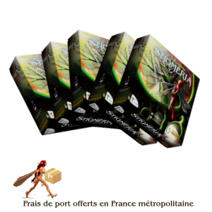 Late pledge Boutique 5 boîtes