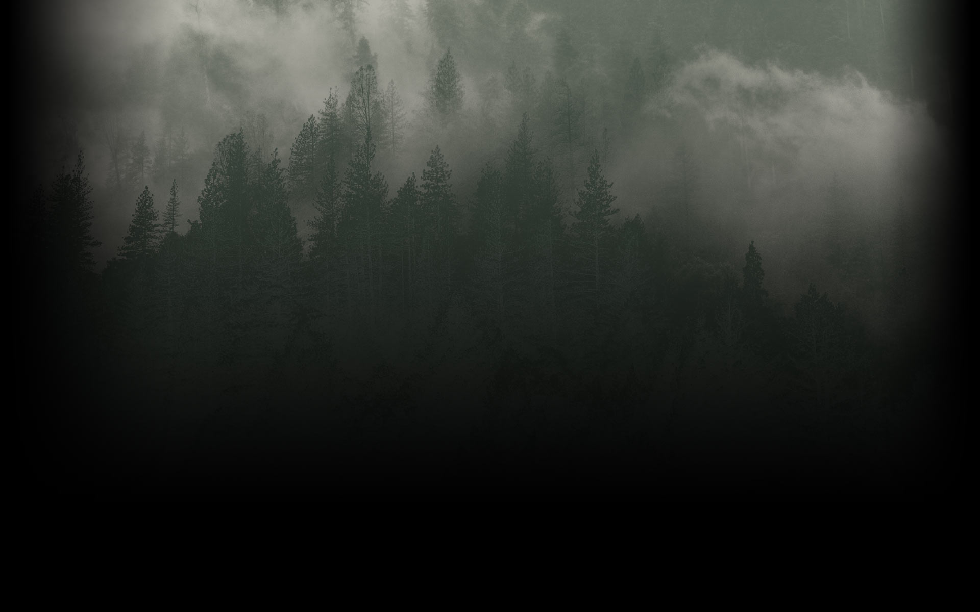 background Meute