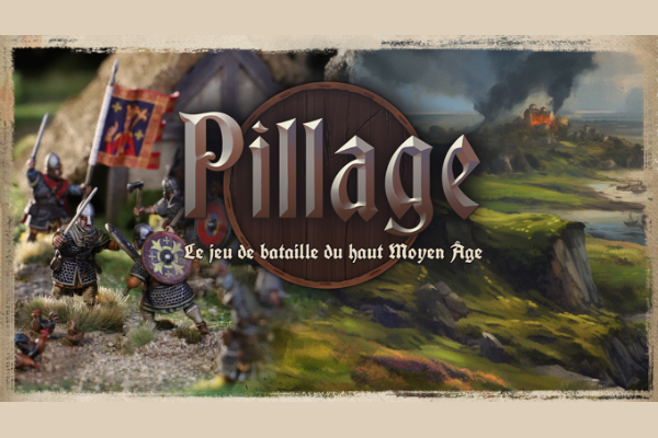 Couverture de Pillage