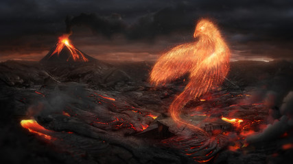 background Dés en Folie tel un Phoenix renaissant de ses cendres...