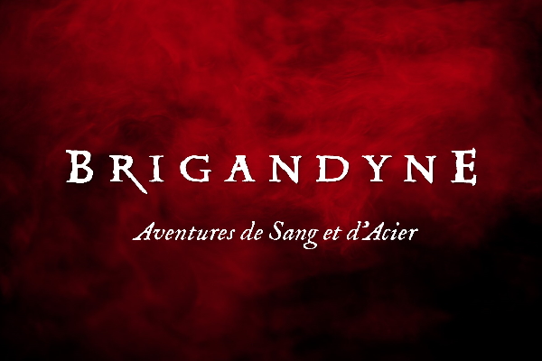 Couverture de BRIGANDYNE 2e édition