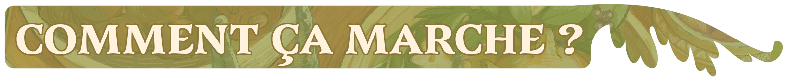 campaign image 6