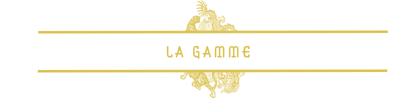 campaign image 12