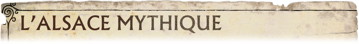 campaign image 18