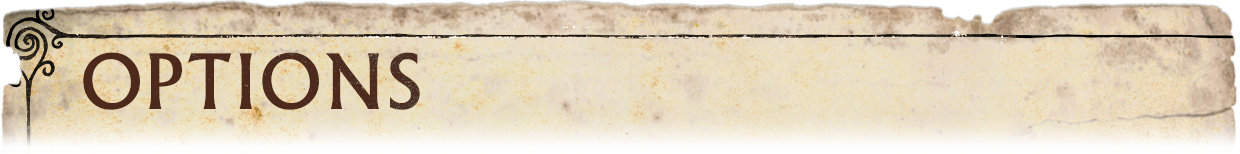 campaign image 21