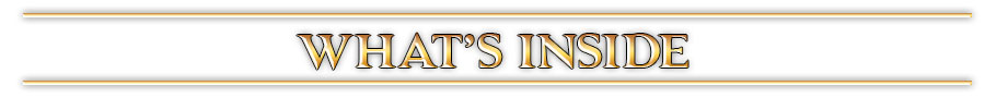 campaign image 4