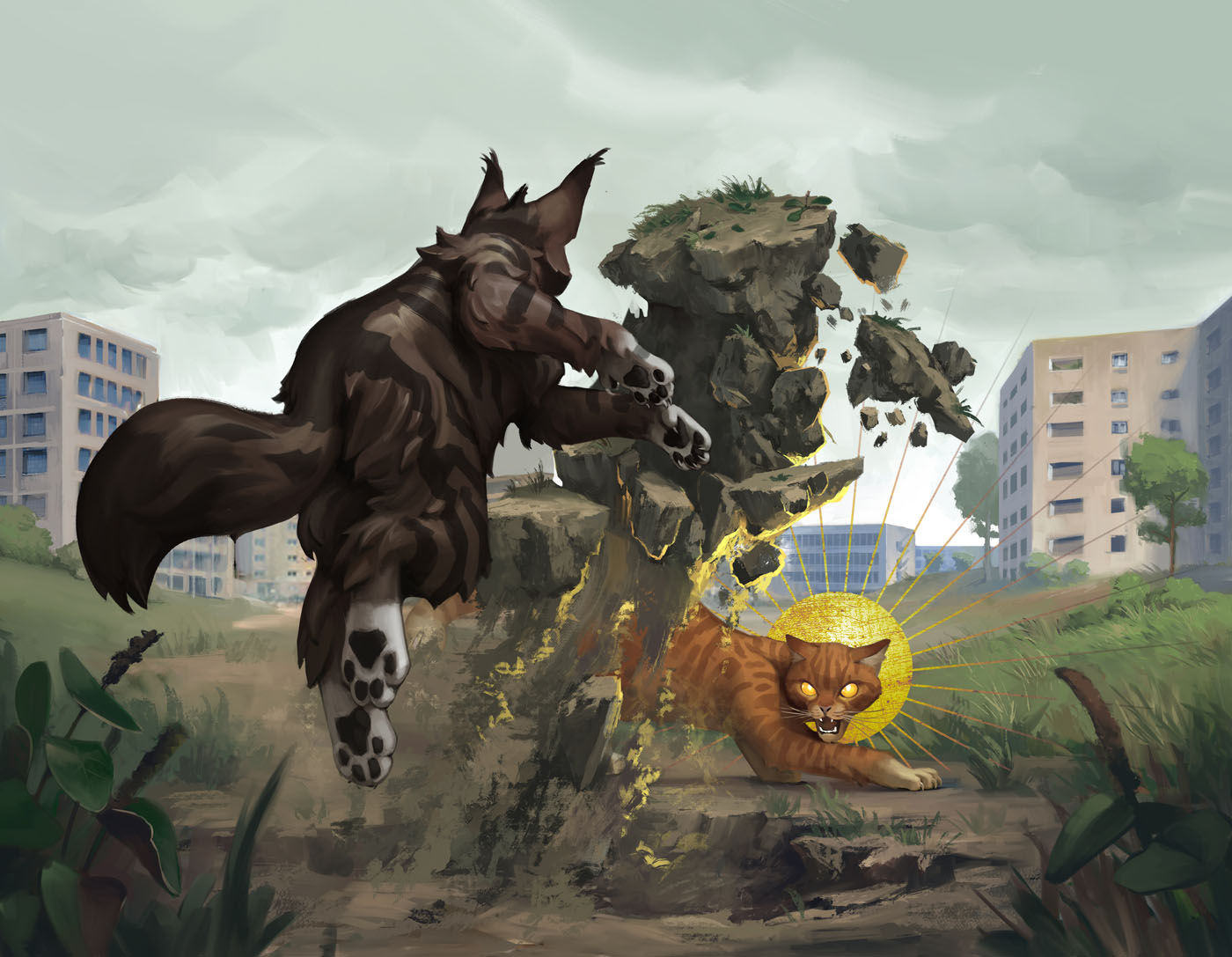 campaign image 10