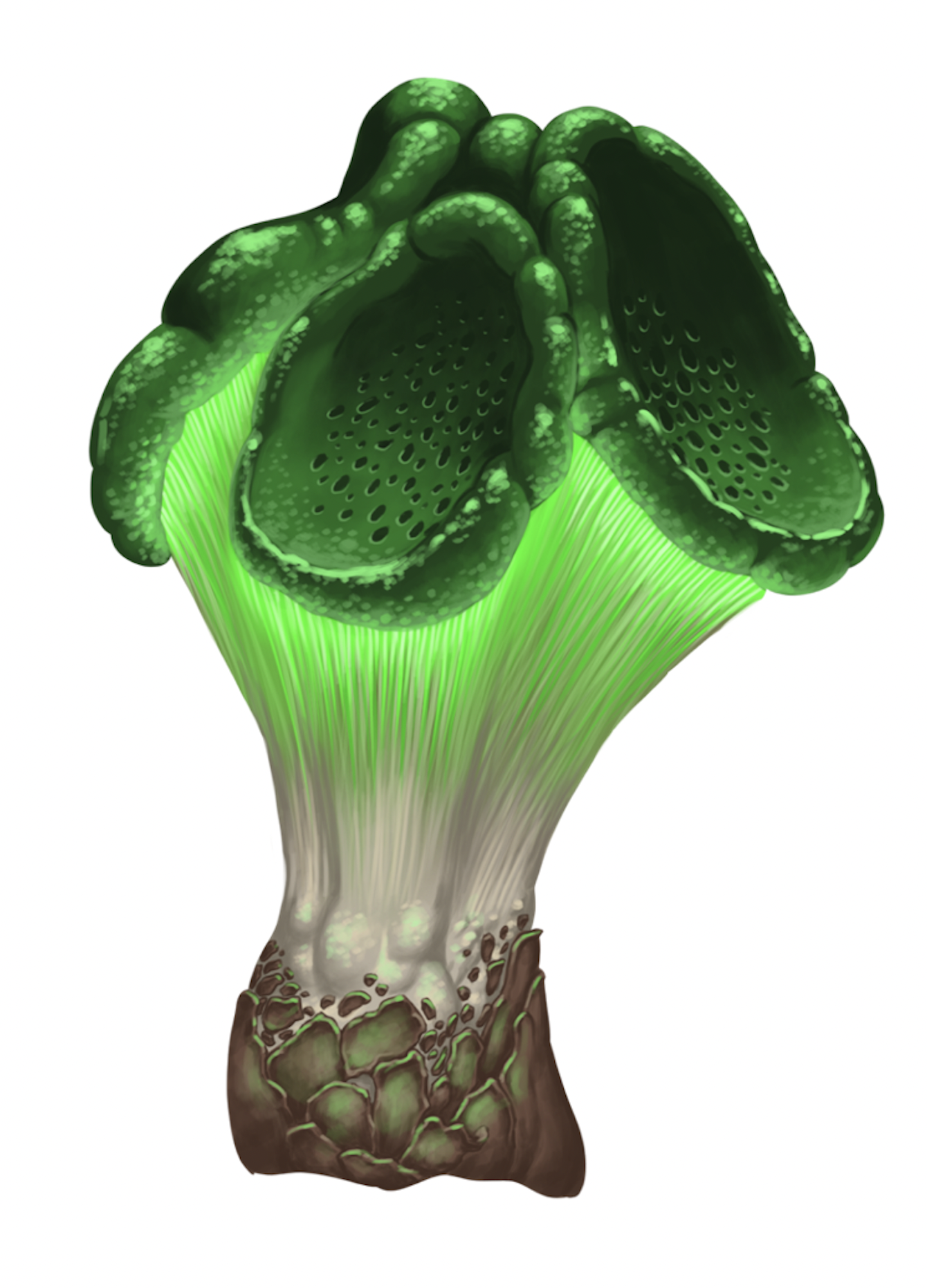 campaign image 5