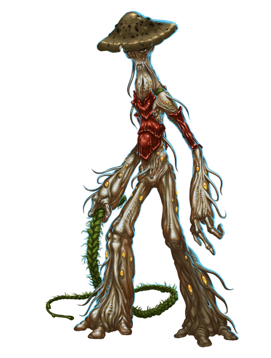campaign image 15