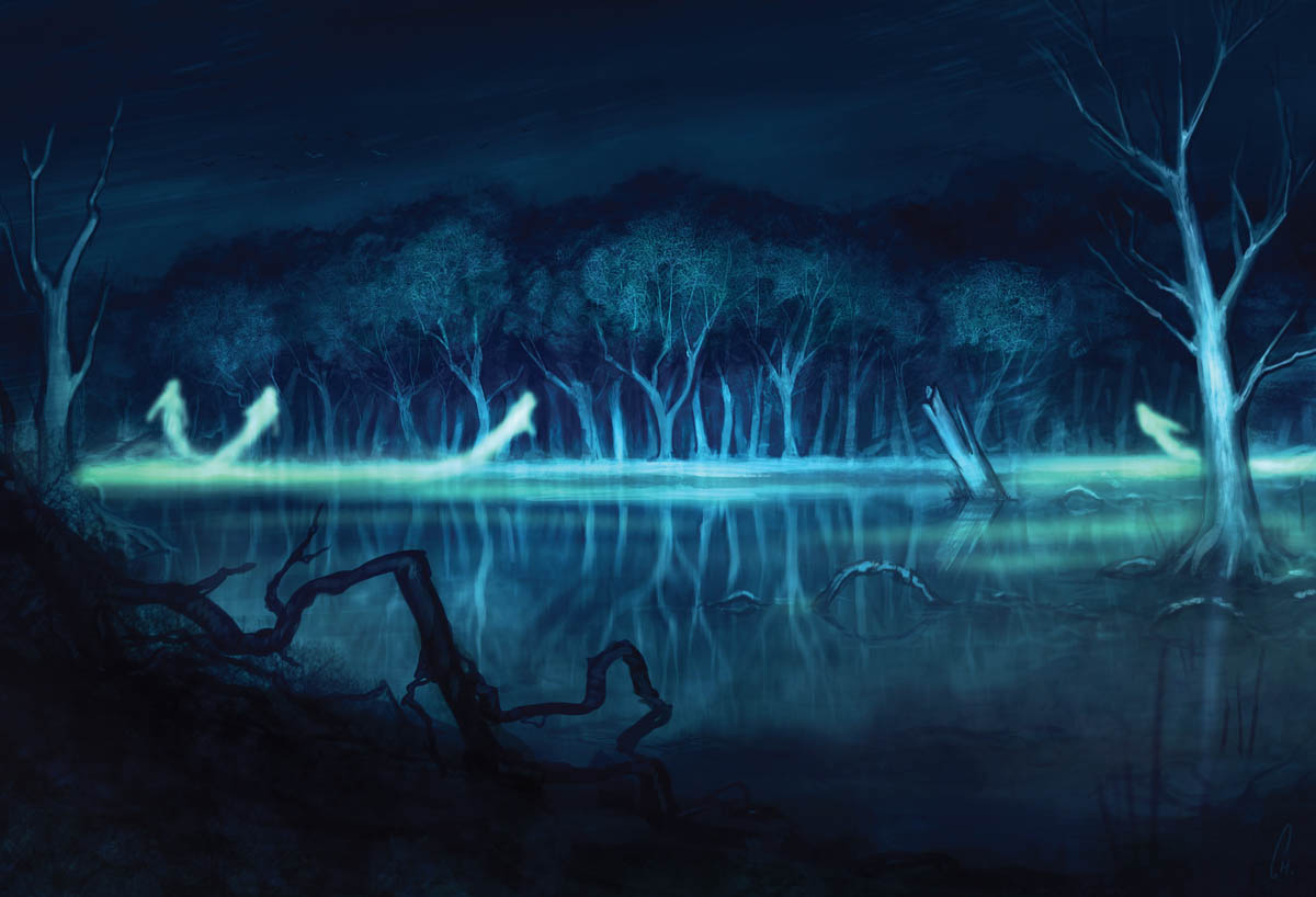 campaign image 12