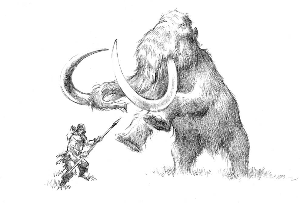 campaign image 14