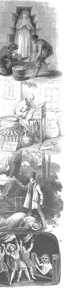 campaign image 11