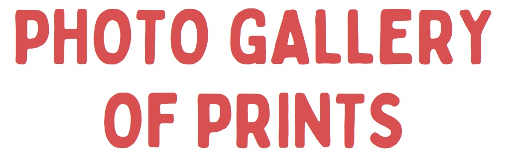 campaign image 7