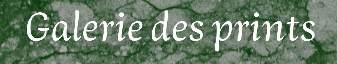 campaign image 4