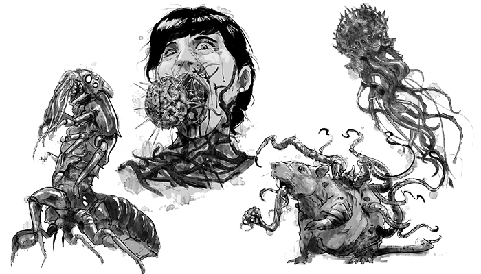 campaign image 4
