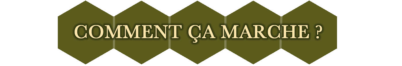 campaign image 7