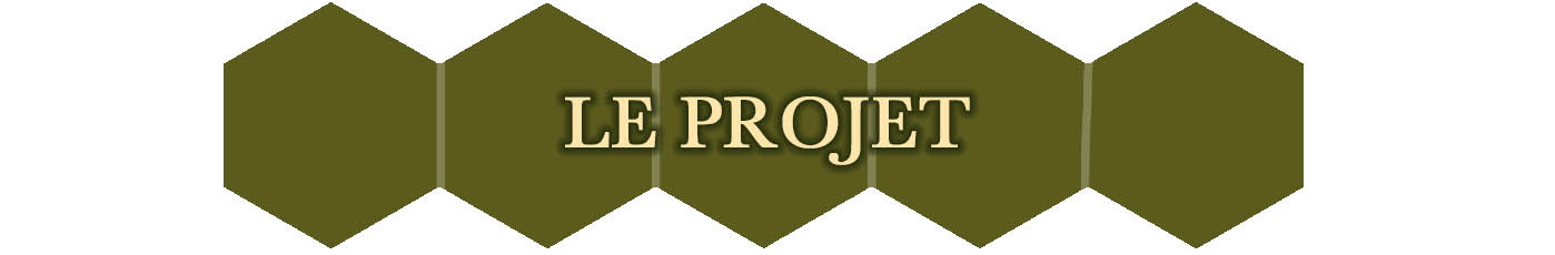 campaign image 6