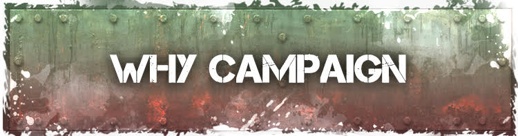 campaign image 12
