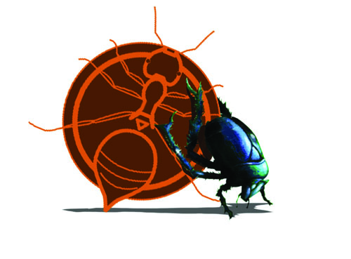 campaign image 6