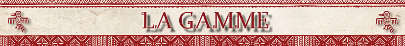 campaign image 6