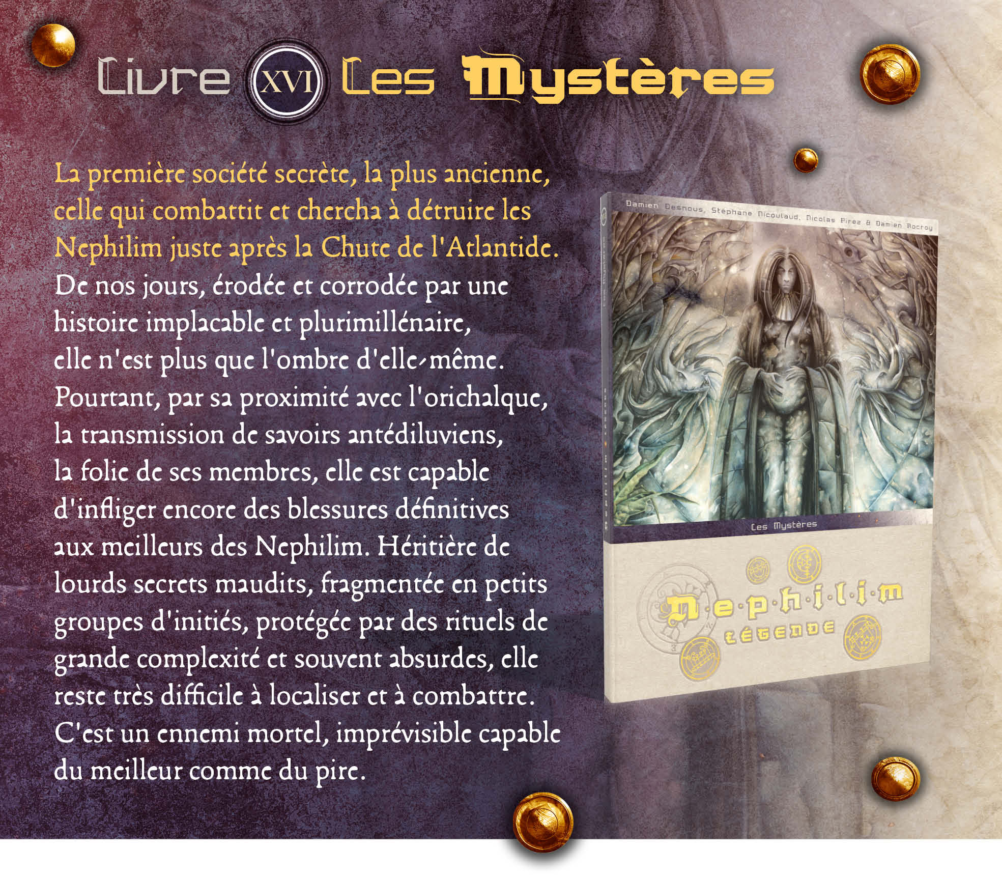 campaign image 22