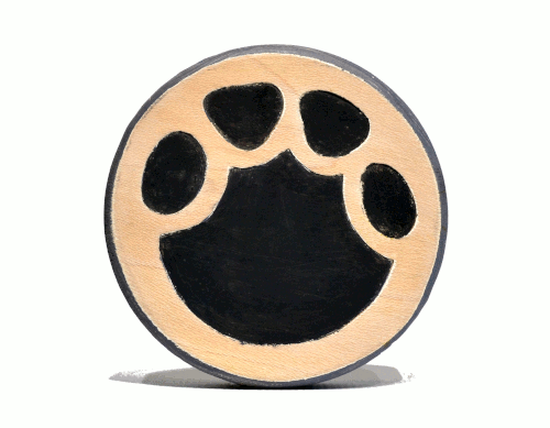 campaign image 13
