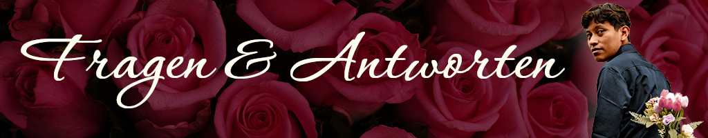 Fragen und Antworten