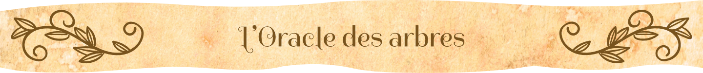 campaign image 6