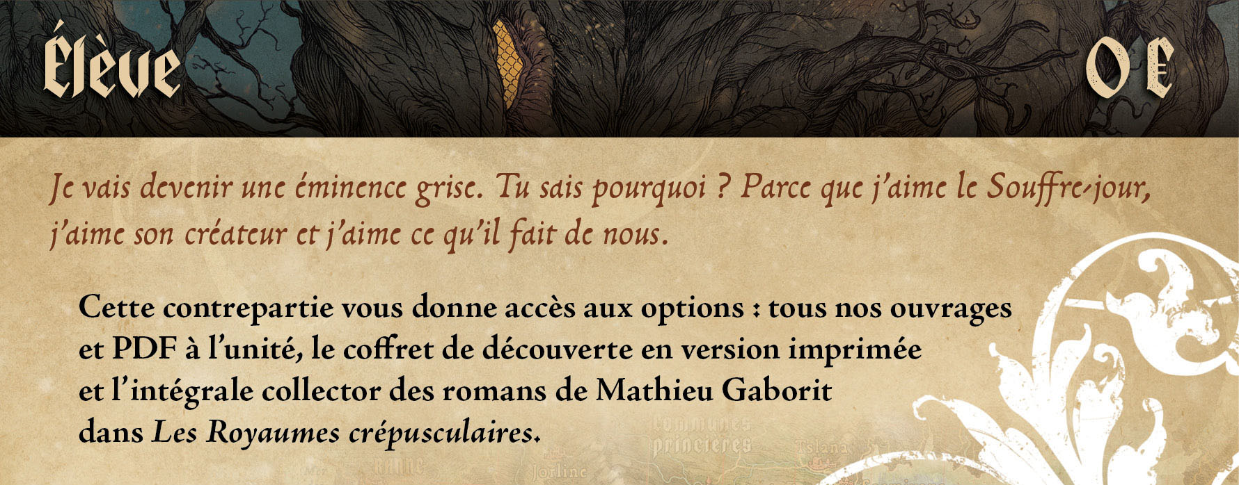 Cette contrepartie vous donne accès aux options : tous nos ouvrages et PDF à l’unité, le coffret de découverte du jeu, l’intégrale des romans de Mathieu Gaborit dans Les Royaumes crépusculaires, les accessoires, etc.