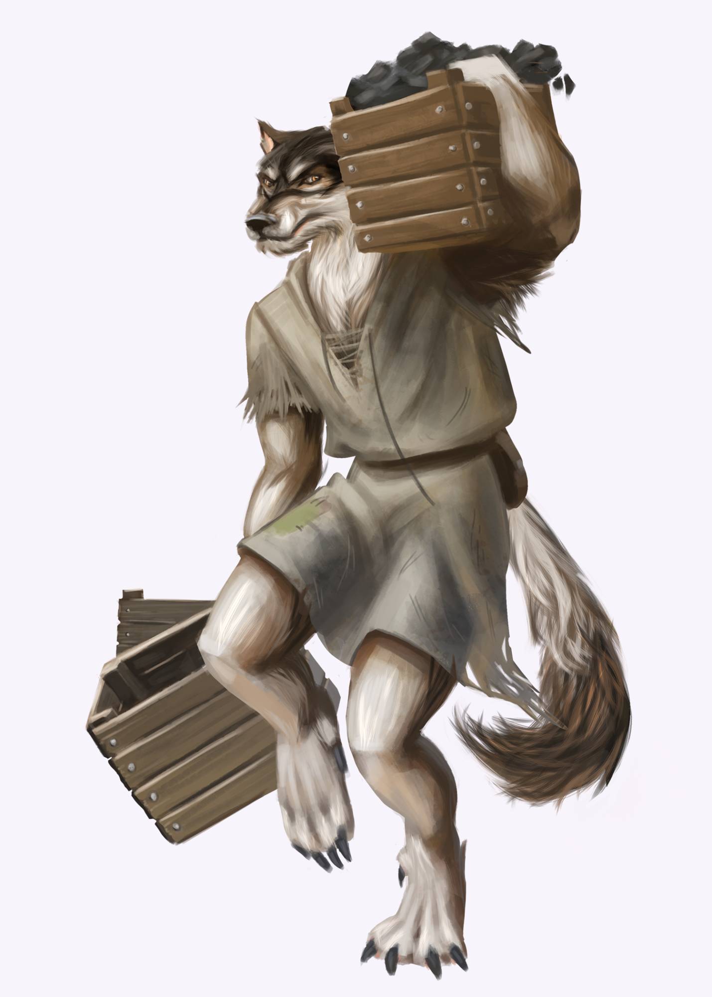 campaign image 12