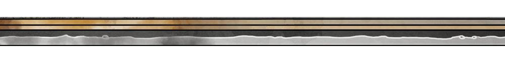 campaign image 5