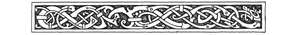 campaign image 10